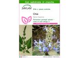 Saflax - Chia - 500 Semi - Con Substrato - Salvia