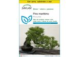 Saflax Insieme Di Coltivazione - Pino Marittimo - 6 Semi - Pinus