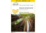 Saflax Insieme Di Coltivazione - Sequoia Sempreverde - 50 Semi - Sequoia