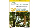 Saflax Insieme Di Coltivazione - Albero Delle Salsicce - 10 Semi - Kigelia