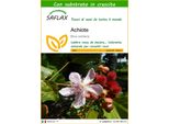Saflax - Achiote - 20 Semi - Con Substrato - Bixa