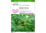 Saflax - Basilico Limone - 200 Semi - Con Substrato - Ocimum