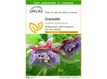 Saflax - Granadilla - 12 Semi - Con Substrato - Passiflora