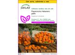 Saflax Insieme Di Coltivazione - Peperoncino Habanero Giallo - 10 Semi - Capsicum