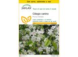 Saflax Insieme Di Coltivazione - Ciliegio Canino - 30 Semi - Prunus