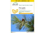 Saflax Insieme Di Coltivazione - Pino Giallo - 20 Semi - Pinus