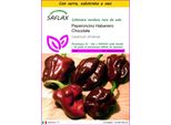 Saflax Insieme Di Coltivazione - Peperoncino Habanero Chocolate - 10 Semi - Capsicum