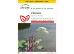 Saflax Insieme Di Coltivazione - Valeriana - 200 Semi - Valeriana