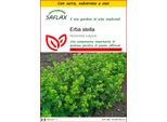 Saflax Insieme Di Coltivazione - Erba Stella - 100 Semi - Alchemilla