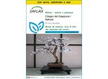 Saflax Insieme Di Coltivazione - Ciliegio Del Giappone / Sakura - 30 Semi - Prunus