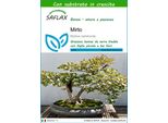 Saflax - Mirto - 30 Semi - Con Substrato - Myrtus