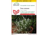 Saflax Insieme Di Coltivazione - Timo Comune - 200 Semi - Thymus