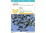 Saflax Set Regalo - Olivo - 20 Semi - Olea