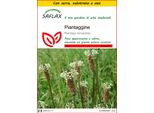 Saflax Insieme Di Coltivazione - Piantaggine - 100 Semi - Plantago