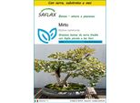 Saflax Insieme Di Coltivazione - Mirto - 30 Semi - Myrtus