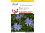 Saflax Insieme Di Coltivazione - Cicoria Comune - 250 Semi - Cichorium