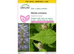 Saflax Insieme Di Coltivazione - Menta Coreana - 1200 Semi - Agastache