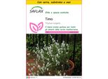 Saflax Insieme Di Coltivazione - Timo - 200 Semi - Thymus