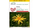 Saflax Insieme Di Coltivazione - Arnica - 40 Semi - Arnica