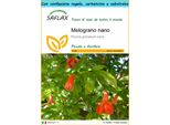 Saflax Set Regalo - Melograno Nano - 50 Semi - Punica