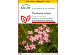 Saflax Insieme Di Coltivazione - Centaurea Minore - 250 Semi - Centaurium