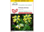 Saflax Insieme Di Coltivazione - Primula Odorosa - 100 Semi - Primula
