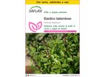 Saflax Insieme Di Coltivazione - Basilico Tailandese - 200 Semi - Ocimum