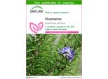 Saflax - Rosmarino - 100 Semi - Con Substrato - Rosmarinus