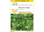 Saflax Insieme Di Coltivazione - Albero Dei Ventagli - 4 Semi - Ginkgo