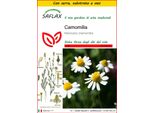Saflax Insieme Di Coltivazione - Camomilla - 300 Semi - Matricaria