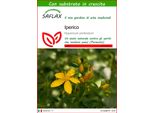 Saflax - Iperico - 300 Semi - Con Substrato - Hypericum