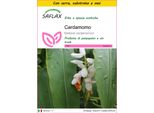 Saflax Insieme Di Coltivazione - Cardamomo - 20 Semi - Elettaria