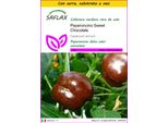 Saflax Insieme Di Coltivazione - Peperoncino Sweet Chocolate - 10 Semi - Capsicum