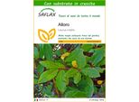 Saflax - Alloro - 6 Semi - Con Substrato - Laurus