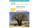 Saflax Set Regalo - Baobab Africano - 6 Semi - Adansonia