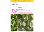 Saflax Insieme Di Coltivazione - Stevia - 100 Semi - Stevia