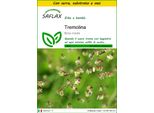 Saflax Insieme Di Coltivazione - Tremolina - 75 Semi - Briza