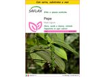 Saflax Insieme Di Coltivazione - Pepe - 20 Semi - Piper