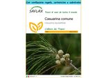 Saflax Set Regalo - Casuarina Comune - 200 Semi - Casuarina
