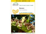 Saflax Insieme Di Coltivazione - Banano - 10 Semi - Musa