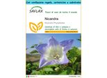 Saflax Set Regalo - Nicandra - 100 Semi - Nicandra
