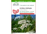 Saflax - Achillea Millefoglie - 200 Semi - Con Substrato - Achillea