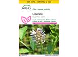 Saflax Insieme Di Coltivazione - Liquirizia - 30 Semi - Glycyrrhiza