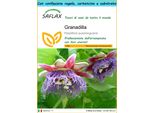 Saflax Set Regalo - Granadilla - 12 Semi - Passiflora