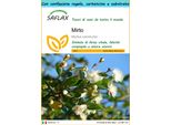 Saflax Set Regalo - Mirto - 30 Semi - Myrtus