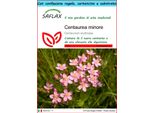 Saflax Set Regalo - Centaurea Minore - 250 Semi - Centaurium