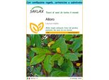 Saflax Set Regalo - Alloro - 6 Semi - Laurus