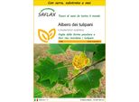Saflax Insieme Di Coltivazione - Albero Dei Tulipani - 20 Semi - Liriodendron