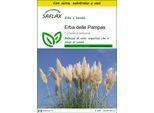 Saflax Insieme Di Coltivazione - Erba Delle Pampas - 200 Semi - Cortaderia