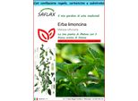 Saflax Set Regalo - Erba Limoncina - 150 Semi - Melissa